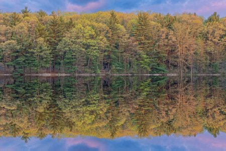 Téléchargez les photos : Paysage printanier du lac Hall à l'aube avec des reflets miroirs en eau calme, Yankee Springs State Park, Michigan, États-Unis - en image libre de droit