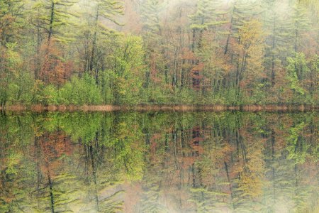 Téléchargez les photos : Paysage printanier brumeux à l'aube du littoral du lac Long avec reflets miroirs en eau calme, Yankee Springs State Park, Michigan, États-Unis - en image libre de droit