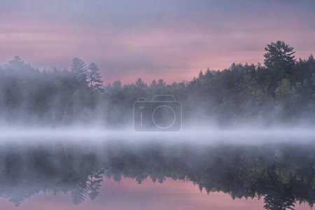 Photo for Foggy spring landscape at dawn of Pete's Lake with mirrored reflections in calm water, Hiawatha National Forest, Michigan's Upper Peninsula, USA - Royalty Free Image