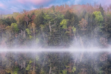 Foggy spring landscape at dawn of Pete's Lake with mirrored reflections in calm water, Hiawatha National Forest, Michigan's Upper Peninsula, USA