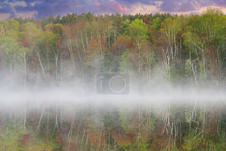 Photo for Foggy spring landscape at dawn of the shoreline of Scout Lake with mirrored reflections in calm water, Hiawatha National Forest, Michigans Upper Peninsula, USA - Royalty Free Image