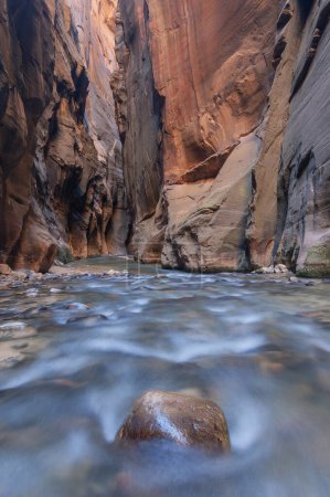 Foto de Paisaje del río Virgen Se estrecha capturado con desenfoque de movimiento, Parque Nacional Zion, Utah, EE.UU. - Imagen libre de derechos