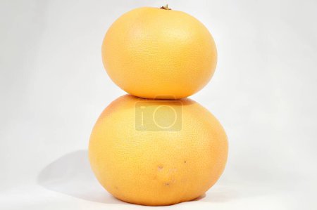 A Tower of Citrus Two Stacked Grapefruits. High quality photo