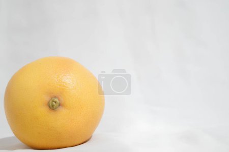 Still Life with Grapefruit. High quality photo