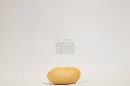 A Single Peanut in the Shell. High quality photo
