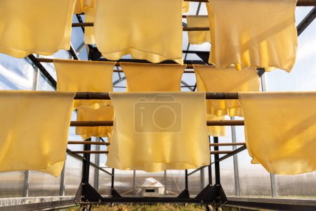 Téléchargez les photos : Feuilles de caoutchouc suspendues sur rail pour séchage à sec méthode de caoutchouc de feuille séchée à l'air (ADS) dans la chambre de séchage solaire. - en image libre de droit