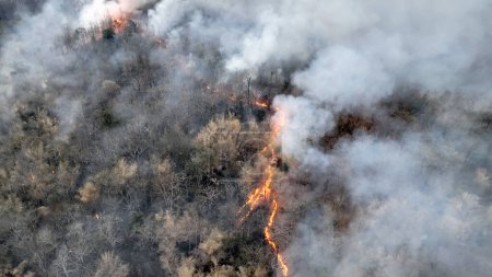 Foto de Cambio climático, los incendios forestales liberan emisiones de dióxido de carbono (CO2) y otros gases de efecto invernadero (GEI) que contribuyen al cambio climático y al calentamiento global. - Imagen libre de derechos