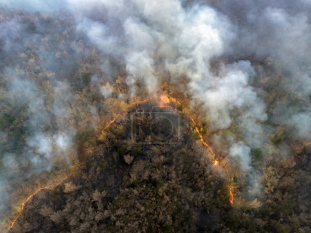 Foto de Climate change, Wildfires release carbon dioxide (CO2) emissions and other greenhouse gases (GHG) that contribute to climate change and global warming. - Imagen libre de derechos