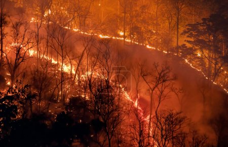 Téléchargez les photos : Changement climatique, feux de forêt rejettent des émissions de dioxyde de carbone (CO2) et d'autres gaz à effet de serre (GES) qui contribuent au changement climatique et au réchauffement planétaire. - en image libre de droit