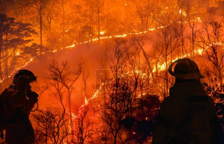 Bomberos luchan contra un incendio forestal porque los eventos de El Niño, el cambio climático y el calentamiento global son un impulsor de las tendencias globales de incendios forestales.