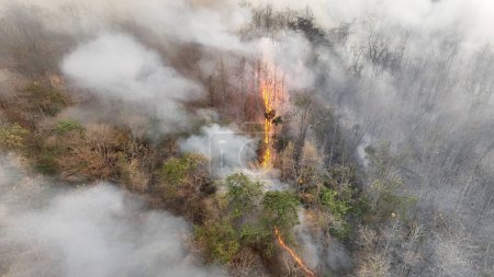 Téléchargez les photos : Phénomène météorologique El Nino cause sécheresse et augmentation des feux de forêt en Asie du Sud-Est. - en image libre de droit