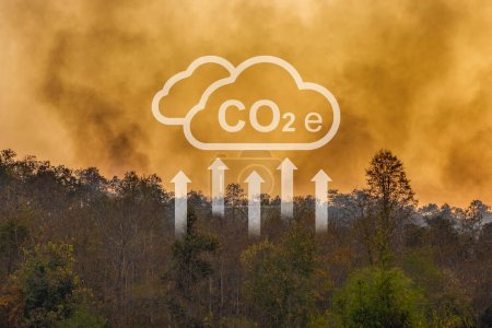Photo for Climate change, Tropical wildfires release carbon dioxide (CO2) emissions that contribute to climate change and global warming. - Royalty Free Image