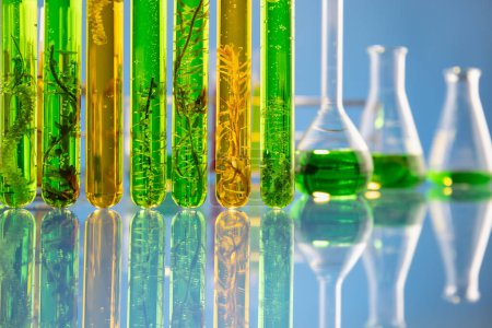 Laboratoire de l'industrie des biocarburants à base d'algues à la recherche d'alternatives aux carburants fossiles ou aux biocarburants à base d'algues. ZERO CARBONE Concept d'émission.