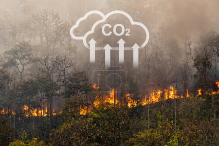 Foto de Los incendios forestales liberan dióxido de carbono y otros gases de efecto invernadero, como el metano en la atmósfera. Las emisiones de carbono provienen de la deforestación. - Imagen libre de derechos