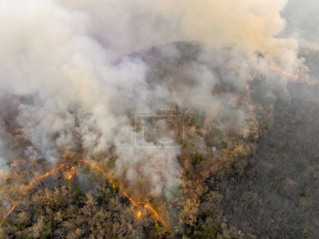 Téléchargez les photos : Les feux de brousse dans les forêts tropicales libèrent des émissions de dioxyde de carbone (CO2) et d'autres gaz à effet de serre (GES) qui contribuent au changement climatique. - en image libre de droit