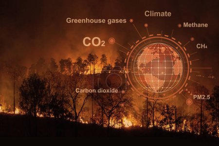 Forest fires are emitting substantial amounts of greenhouse gases and particulate matter into the atmosphere