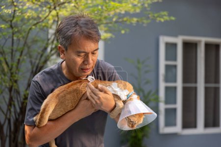 Senior man treatment dressing wound his cat.