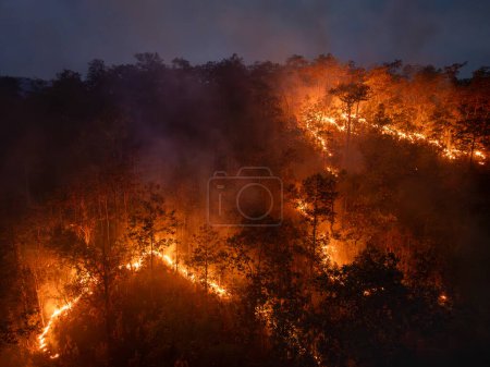Téléchargez les photos : Les feux de brousse dans les forêts tropicales libèrent des émissions de dioxyde de carbone (CO2) et d'autres gaz à effet de serre (GES) qui contribuent au changement climatique. - en image libre de droit