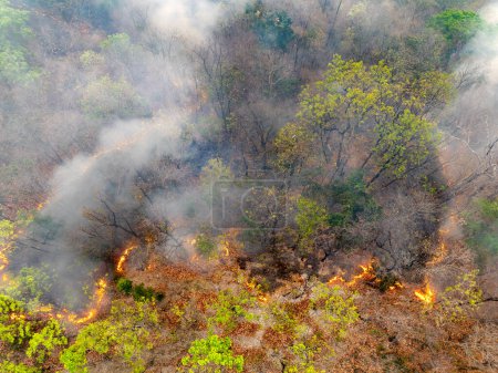 Incendios forestales en bosques tropicales liberan emisiones de dióxido de carbono (CO2) y otros gases de efecto invernadero (GEI) que contribuyen al cambio climático.
