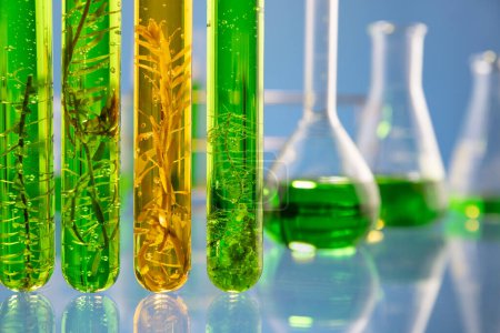 Das Labor der Biokraftstoffindustrie forscht nach Alternativen zu fossilen Algenbrennstoffen oder Algen-Biokraftstoffen. ZERO CARBON Emissionskonzept.