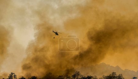 Foto de Helicóptero de extinción de incendios llevar cubo de agua para extinguir el incendio forestal - Imagen libre de derechos