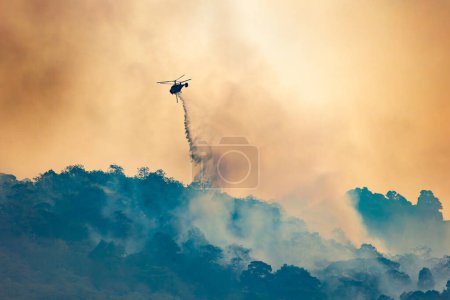 Foto de Helicóptero de extinción de incendios llevar cubo de agua para extinguir el incendio forestal. - Imagen libre de derechos
