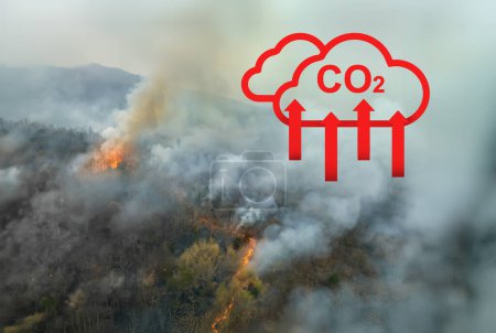 Les incendies de forêt tropicale libèrent des émissions de dioxyde de carbone (CO2) et d'autres gaz à effet de serre (GES) qui contribuent au changement climatique.