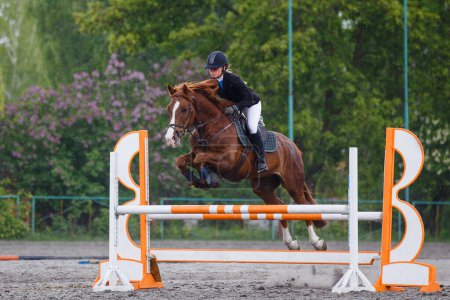 Mujer joven montando a caballo saltando sobre el obstáculo en el curso showjumping en evento deportivo ecuestre