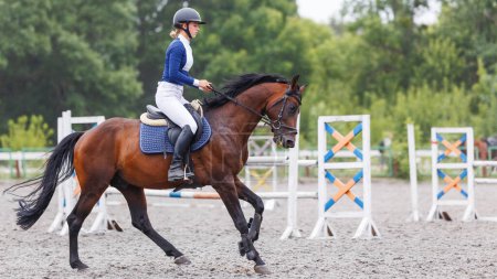 Young woman horseback riding on her show jumping course in equestrian competition