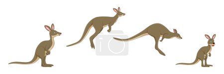 Téléchargez les illustrations : Illustration du concept de dessin animé kangourou - en licence libre de droit