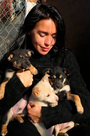 Photo for A beautiful girl, in a black sweater, holds street puppies in her arms, the girl takes care of the dogs, feeds them, spends time with them - Royalty Free Image