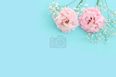 Téléchargez les photos : Image de vue du dessus de délicates fleurs de lisianthus sur fond bleu pastel - en image libre de droit