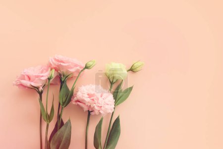 Téléchargez les photos : Image de vue du dessus de fleur délicate sur fond pastel - en image libre de droit