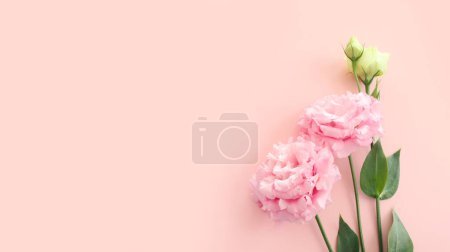 Foto de Imagen de vista superior de delicadas flores rosadas sobre fondo pastel - Imagen libre de derechos
