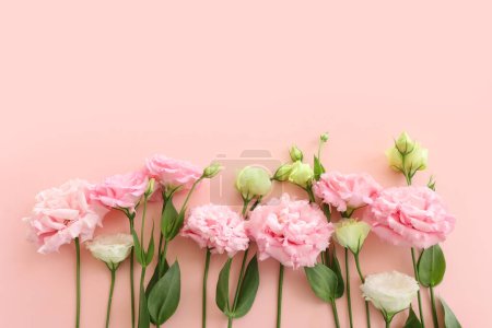 Téléchargez les photos : Image de vue du dessus de délicates fleurs roses sur fond pastel - en image libre de droit