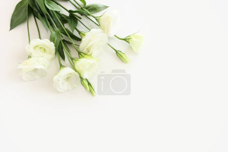 Téléchargez les photos : Image de vue du dessus de délicat beau fond de fleurs blanches - en image libre de droit