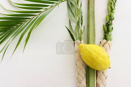 Téléchargez les photos : Festival juif de Souccot. Symboles traditionnels (Les quatre espèces) : Etrog (citron), lulav (branche de palmier), hadas (myrte), arava (saule)) - en image libre de droit