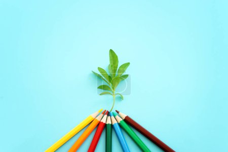 Top view image of pencil and small plant concept. idea of education, creativity, and growth