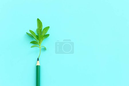 Foto de Vista superior de la imagen de lápiz y concepto de planta pequeña. idea de educación, creatividad y crecimiento - Imagen libre de derechos