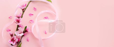 imagen de árbol de flores de cerezo blanco primavera sobre fondo pastel rosa