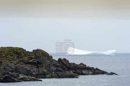 Téléchargez les photos : Iceberg flottant pour la côte, phare du cap Bonavista, péninsule de Bonavista, Terre-Neuve-et-Labrador, Canada - en image libre de droit