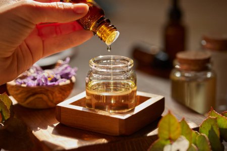 Photo for Preparing massage oil dropping essential oil in a bottle. Woman dripping aromatic essential oil for a spa beauty treatment into a bigger jar. Natural organic oil for aromatherapy being prepared with herbs and flowers. - Royalty Free Image