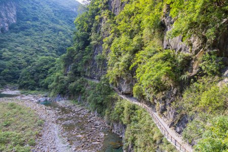 Foto de Sendero de senderismo Shakadang en el Parque Nacional Taroko Taiwán. El paisaje protegido del bosque de montaña lleva el nombre del histórico desfiladero de Taroko, tallado por el río Liwu. Taiwán maravillas naturales y patrimonio. - Imagen libre de derechos