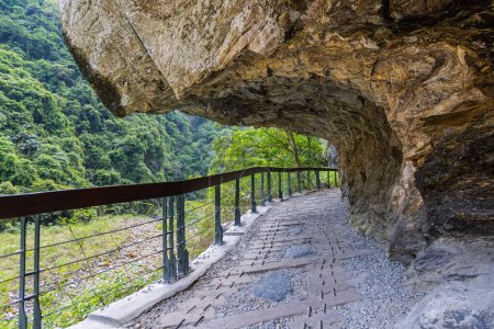 Téléchargez les photos : Sentier de randonnée Shakadang au Parc National du Taroko Taiwan. Le paysage forestier de montagne protégé nommé d'après le point de repère Gorge Taroko, sculpté par la rivière Liwu. Taïwan merveilles naturelles et patrimoine. - en image libre de droit