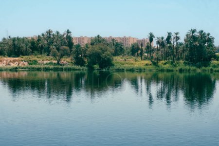 Behold the picturesque shoreline of the Nile River from the deck of your cruise ship, where a lush and enchanting forest meets the tranquil waters. This captivating photograph captures the serene