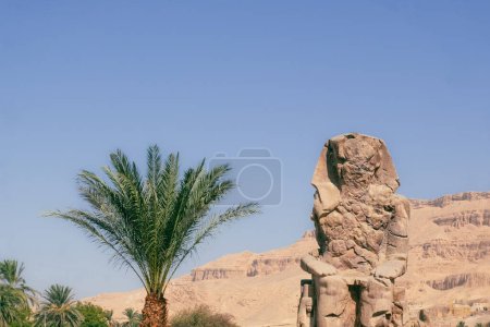 Behold the awe-inspiring Colossi of Memnon as they stand proudly in the soft morning light. These colossal twin statues of Pharaoh Amenhotep III have guarded the Theban Necropolis for over 3,400 years