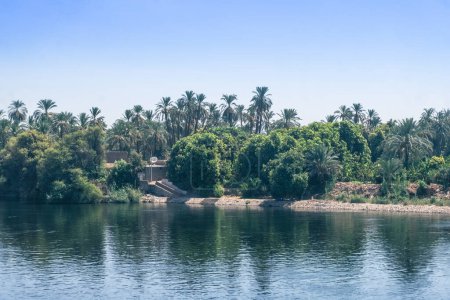 Photo for Behold the picturesque shoreline of the Nile River from the deck of your cruise ship, where a lush and enchanting forest meets the tranquil waters. This captivating photograph captures the serene - Royalty Free Image