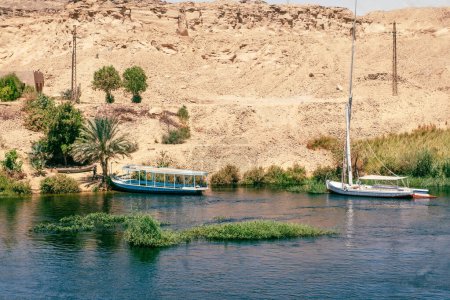 Photo for Experience Egypts summer allure through captivating images of the Pyramids, Sphinx, and a scenic Nile cruise from Aswan to Luxor. Immerse yourself in ancient history and vibrant landscapes. Admire - Royalty Free Image