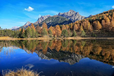 Téléchargez les photos : Alpes suisses lac de montagne Lai Nair (lac noir) avec reflet de la forêt d'automne sur le sentier de randonnée au Scoul Tarasp, Basse-Engadin, Suisse - en image libre de droit