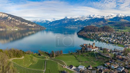 Vue panoramique aérienne du château médiéval Spiez sur le lac de Thoune, Suisse